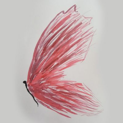 Schmetterling